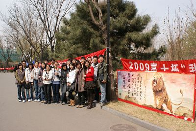 91暗网